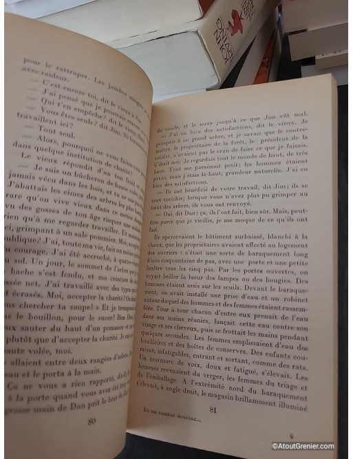 En un combat douteux - John Steinbeck