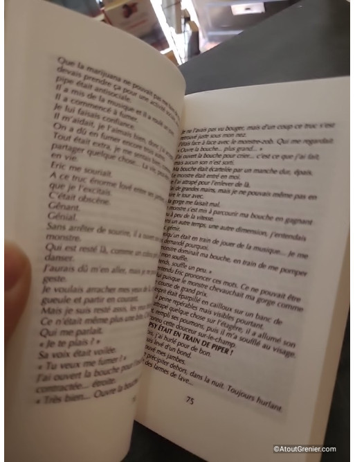Crack - Journal d'un accro - Ray Shell