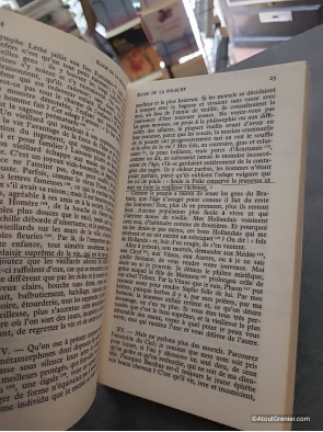 Éloge de la folie suivi de la Lettre d'Érasme à Dorpius - Didier Érasme