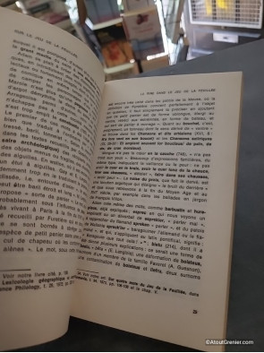 Sur Le Jeu de la Feuillée - Études complémentaires - Jean Dufournet