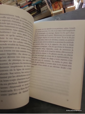 Vie et mort d'un crabe - Vincent Borel