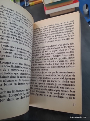 Autoportrait en érection - Guillaume Fabert