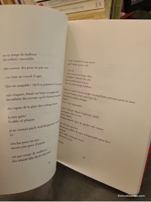 C'est à dire - Franck Venaille