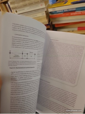 Neurosciences comportementales - Contrôle du mouvement et apprentissage moteur - Frédéric Danion, Ludovic Marin