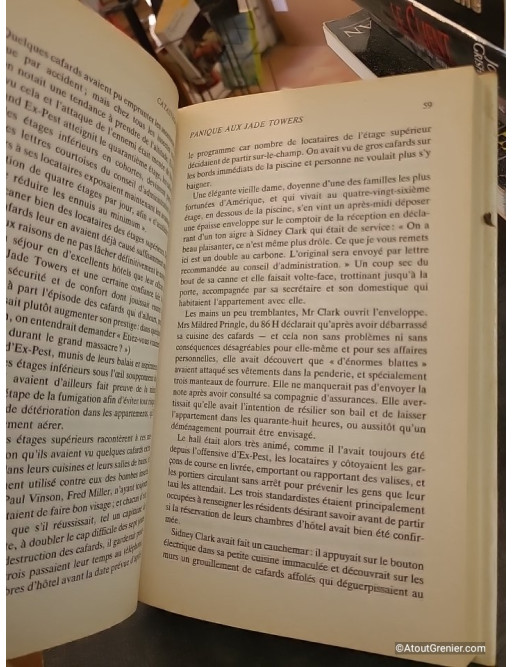 Catastrophes - Nouvelles - Patricia Highsmith