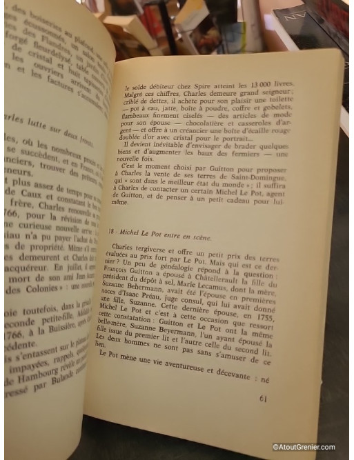 Monte Cristo ou l'extraordinaire aventure des ancêtres d'Alexandre Dumas - Gilles Henry