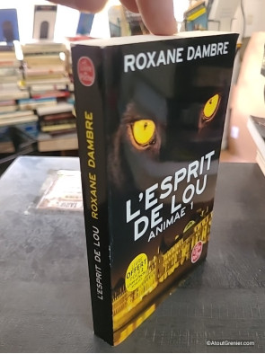 Animae Tome I - L'esprit de Lou - Roxane Dambre