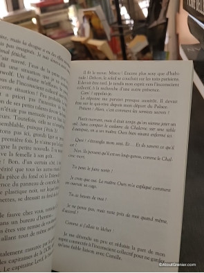 Animae Tome I - L'esprit de Lou - Roxane Dambre