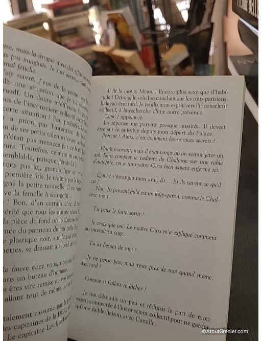 Animae Tome I - L'esprit de Lou - Roxane Dambre