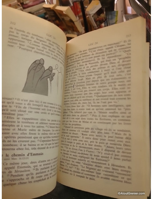 Le Nouveau Testament illustré en français courant - Étienne Charpentier et Annie Vallotton
