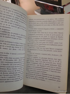 Miséricorde (Les Enquêtes du département V, Tome 1) - Jussi Adler-Olsen