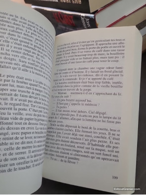 La terre des Mensonges - Tome 1 - Anne Birkefeldt Ragde