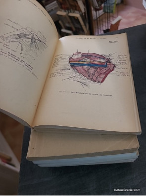 Précis d'Anatomie - Intégrale 6 tomes - Tome 2 : Tête et Cou, système nerveux, organes des sens - R. Grégoire et Dr. Oberlin