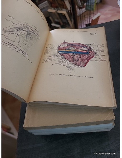 Précis d'Anatomie - Intégrale 6 tomes - Tome 2 : Tête et Cou, système nerveux, organes des sens - R. Grégoire et Dr. Oberlin
