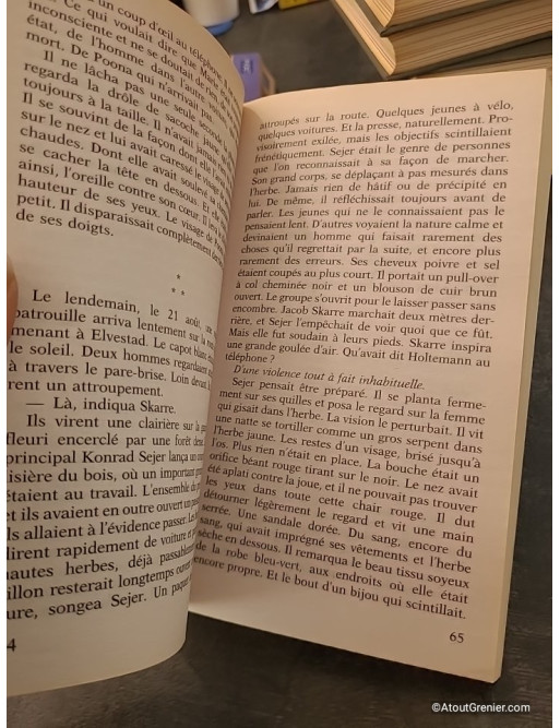 La Mort indienne - Karin Fossum