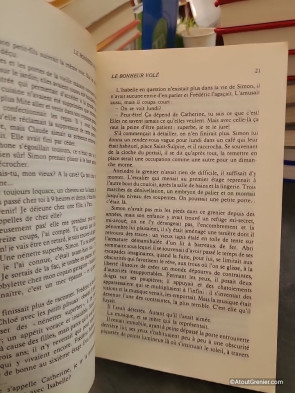 Le bonheur vole - Roman - Cécile Aubry
