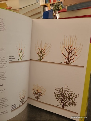 Taillez tous les arbres et arbustes d'ornement - Jean-Yves Prat, Denis Retournard