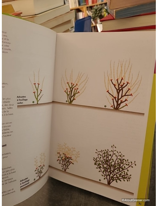 Taillez tous les arbres et arbustes d'ornement - Jean-Yves Prat, Denis Retournard