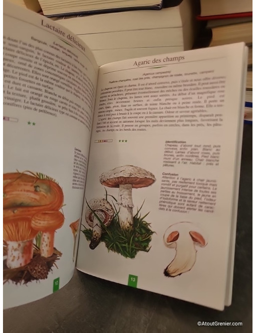 Petit guide des champignons - Philippe Joly