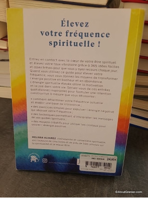 Augmenter son taux vibratoire au quotidien - 365 Conseils Pour Amplifier Votre Énergie Spirituels - Melissa Alvarez