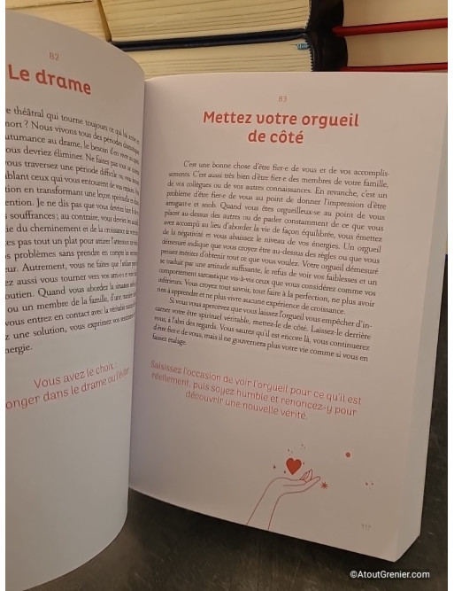 Augmenter son taux vibratoire au quotidien - 365 Conseils Pour Amplifier Votre Énergie Spirituels - Melissa Alvarez