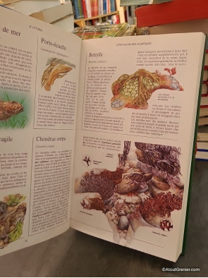 Guide illustré de la nature en France - Bertrand Gauvrit et Emilia Gavazzi