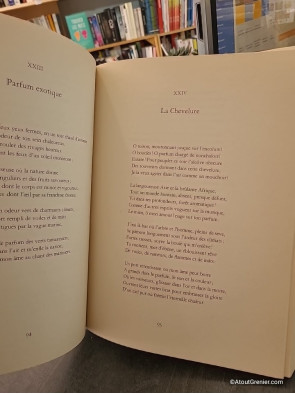 Les Fleurs du mal - Charles Baudelaire