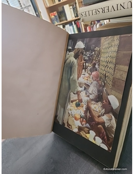 Géographia. Année 1955 - Collectif