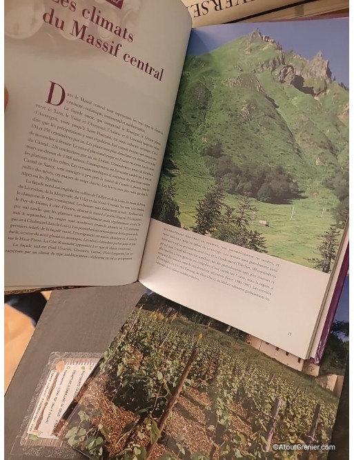 Lot Vins de Bourgogne, Vins du Sud-Ouest et Vins du Massif Central
