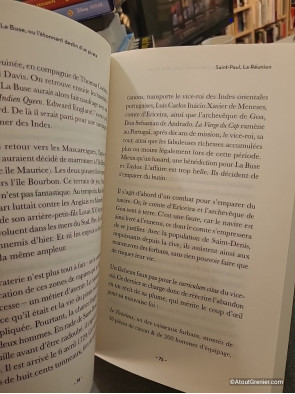 La Véritable Histoire des Trésors de France - Entre mythes et réalités de Marion Godfroy