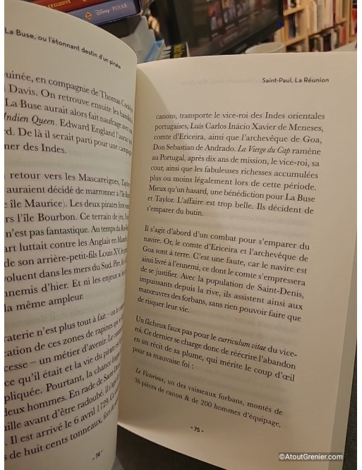 La Véritable Histoire des Trésors de France - Entre mythes et réalités de Marion Godfroy