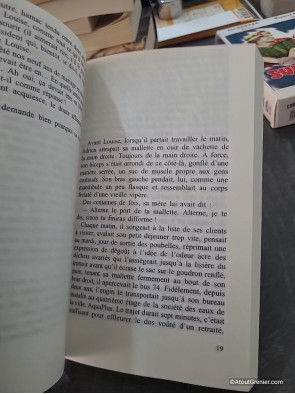 Les déraisons de Odile D'Oultremont