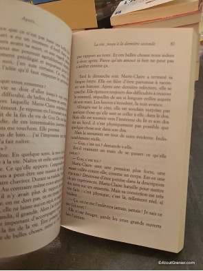 Après... Quand l'au-delà nous fait signe de Stéphane Allix
