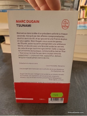Tsunami de Marc Dugain
