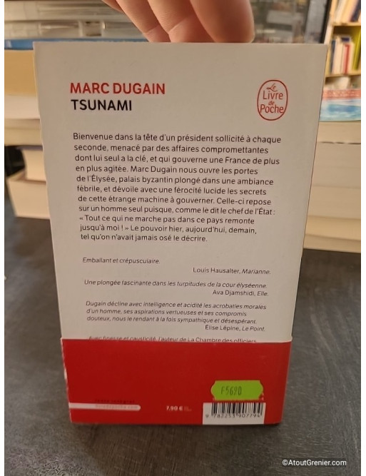 Tsunami de Marc Dugain