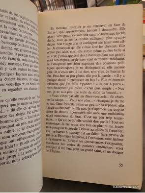 Plateforme de Michel Houellebecq