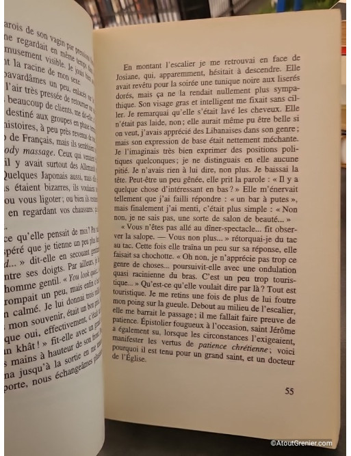 Plateforme de Michel Houellebecq