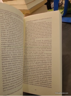 Américana de Don DeLillo