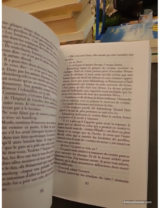 Un lieu incertain de Fred Vargas