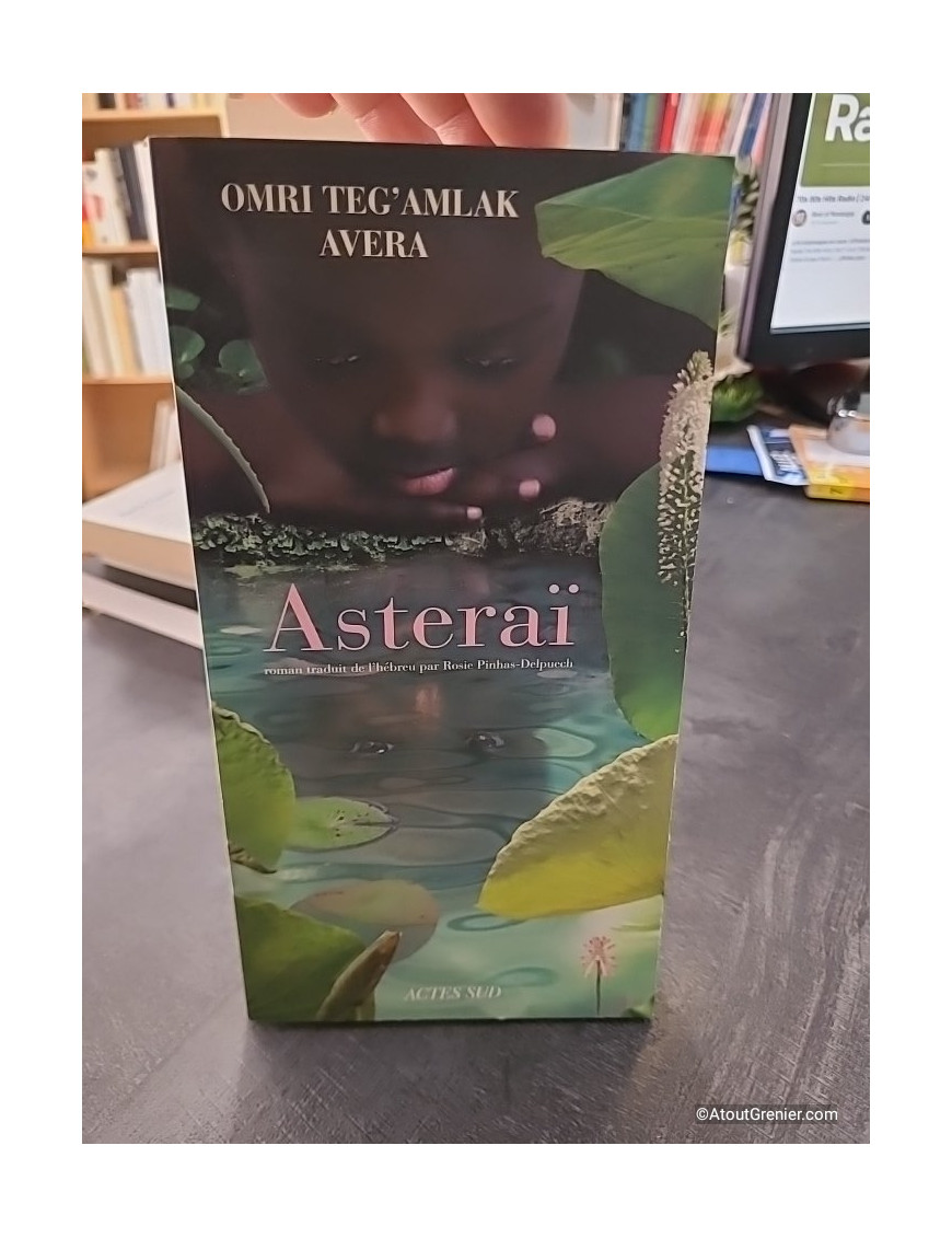 Asteraï d'Omri Teg'Amlak Avera