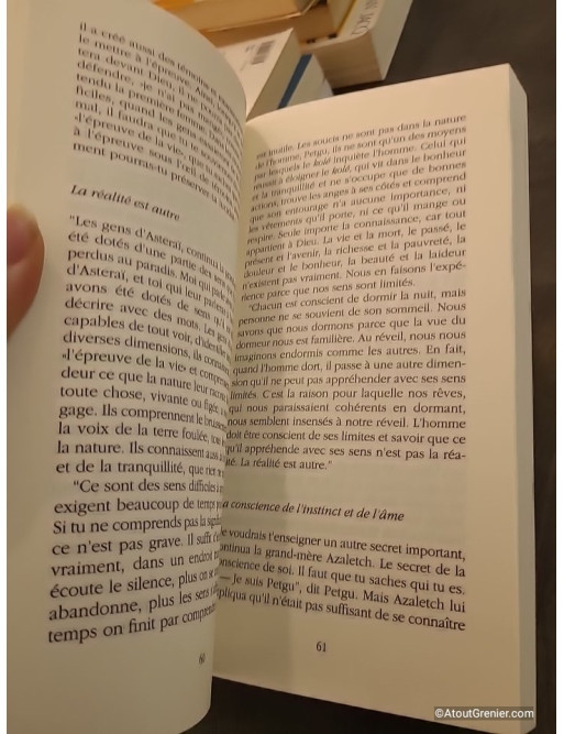 Asteraï d'Omri Teg'Amlak Avera