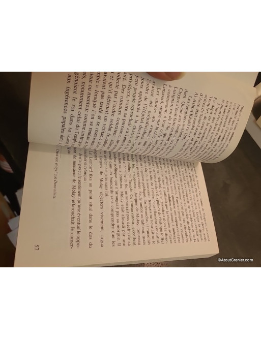 Lot La Dame sans terre Tomes 1 à 4 d'Andrea H. Japp
