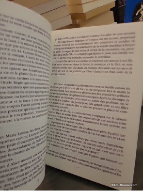 Le chemin du Nan de Robert Veyret