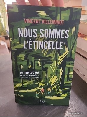 Nous sommes l'étincelle de Vincent Villeminot