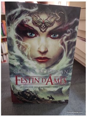 La Trilogie des Magisters - Tome 1 - Festin d'Âmes - C. S. Friedman