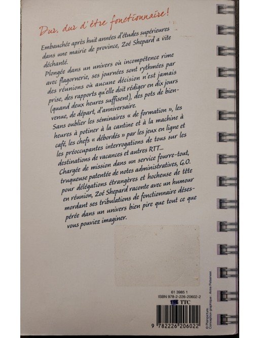 Absolument dé-bor-dée ! Ou le paradoxe du fonctionnaire Par Zoé Shepard