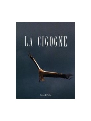 La Cigogne Par Chloé Hunzinger