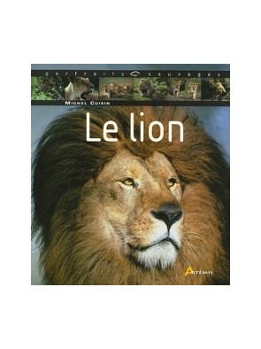 Le lion de Michel Cuisin