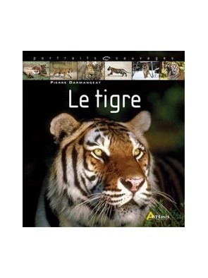 Le tigre de Pierre Darmangeat