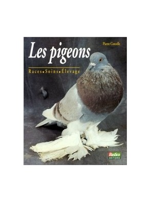 Les pigeons - Races, soins,...